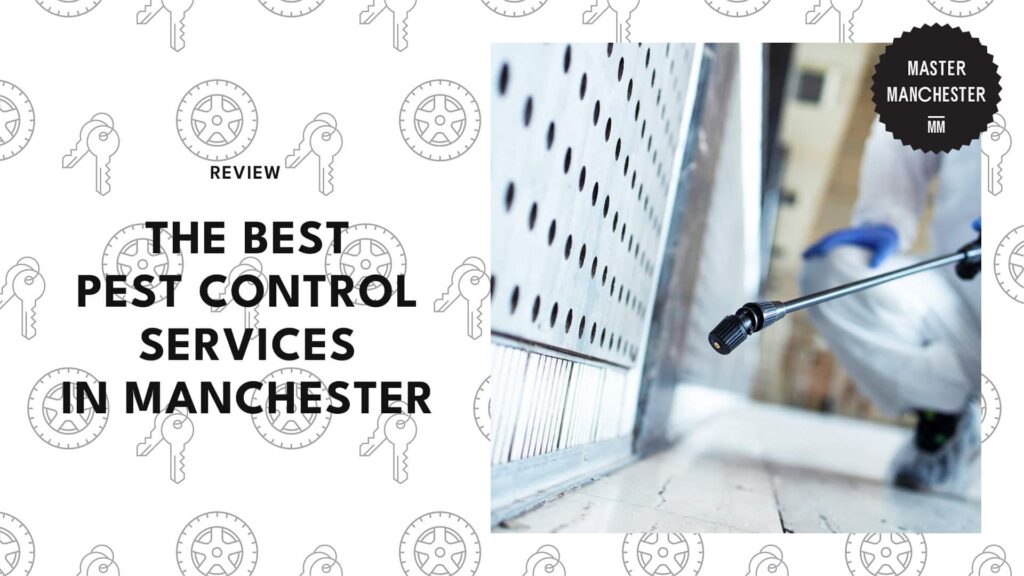 best-pest-control-services-in-manchester
