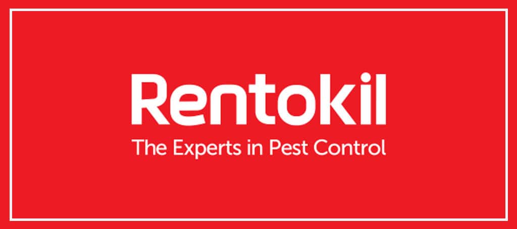 rentokil-pest-control