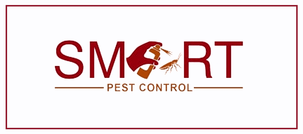 The Best Pest Control Manchester [ 2026 ]