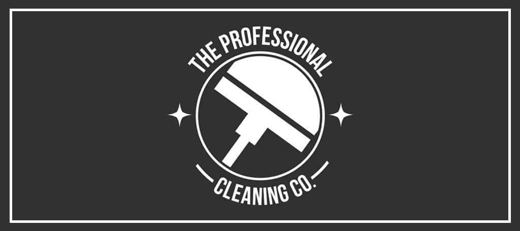 the-professional-cleaning-co
