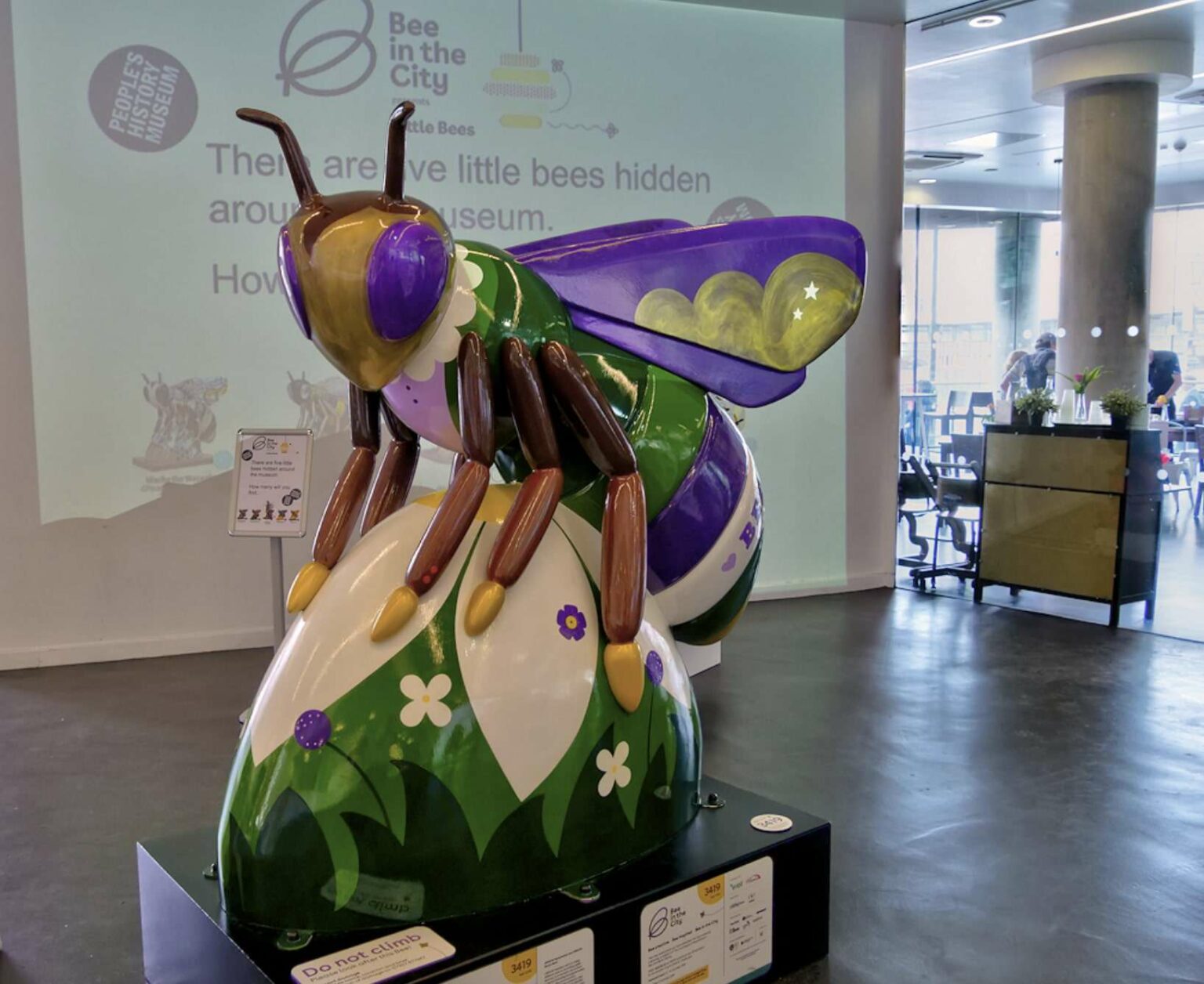 What’s the Buzz? Discover Why Bees Are Everywhere in Manchester [2026]