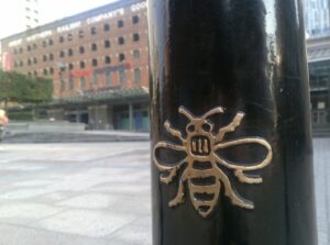 What’s the Buzz? Discover Why Bees Are Everywhere in Manchester [2026]