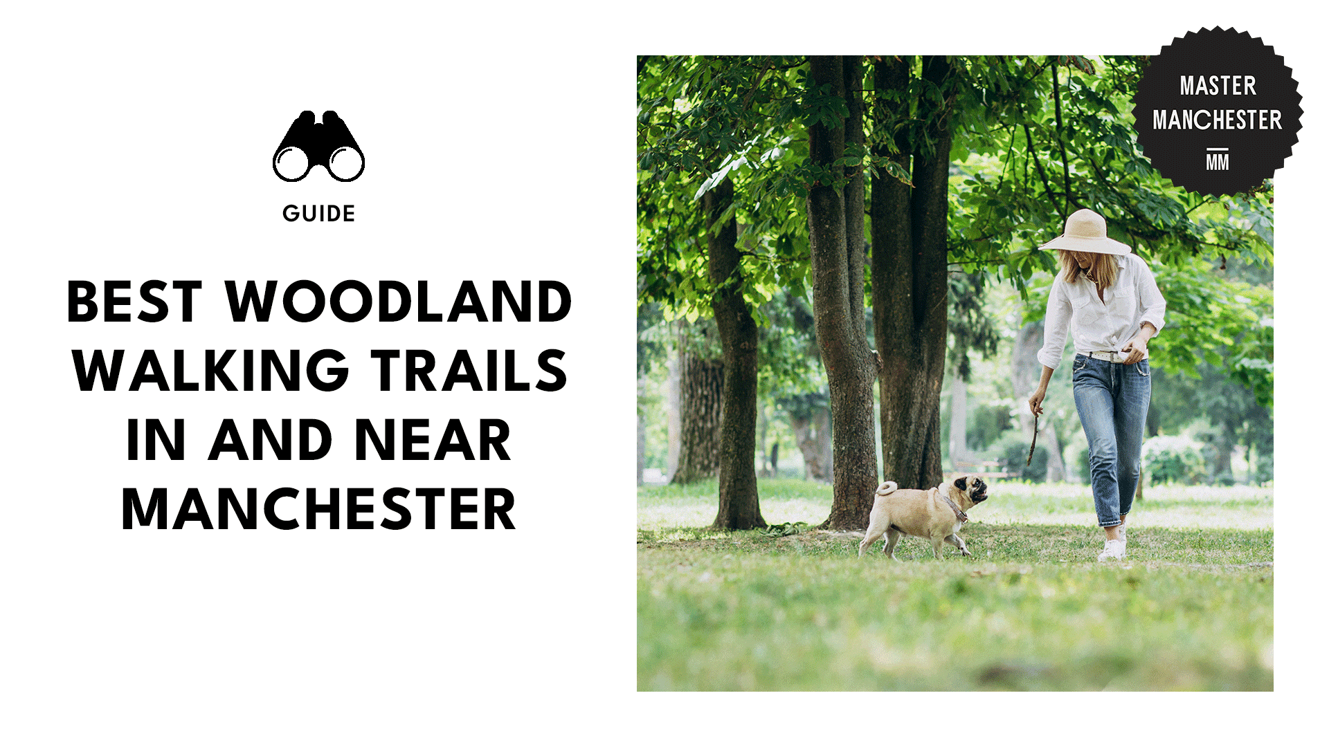 The 12 Best Woodland Walking Trails In and Near Manchester