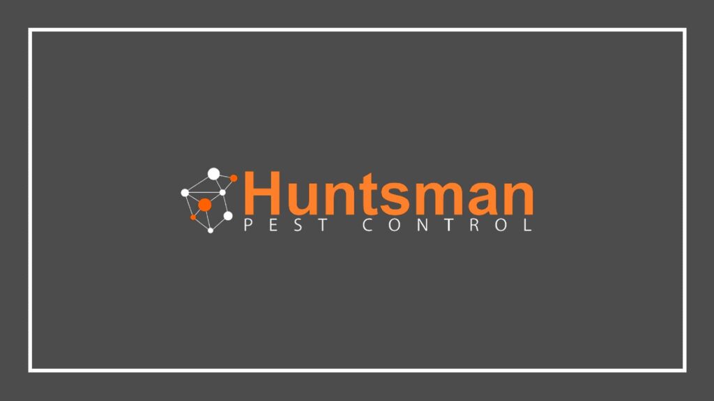 huntsman-pest-control